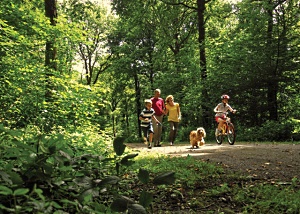 forest of dean lodges