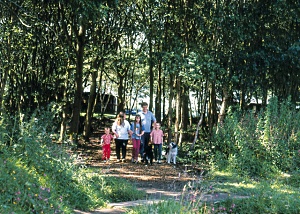 goosewood holiday park