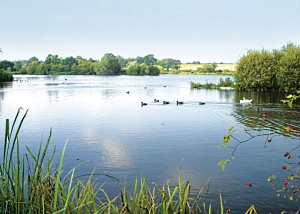 norfolk lodges