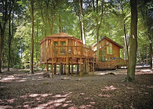 thorpe forest lodges
