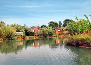 yellowtop country park