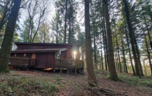 Forest of Dean Lodges