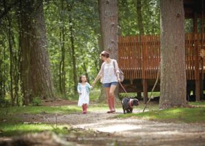 Pet Friendly Lodges with Hot Tubs. Dog Friendly Hot Tub ...
