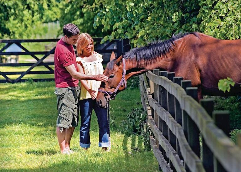 Ribblesdale Lodges Review - My Family's 4 Night Break