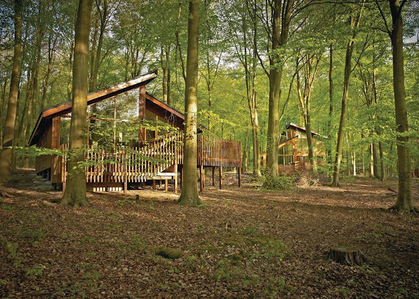 Blackwood Lodges in Hampshire