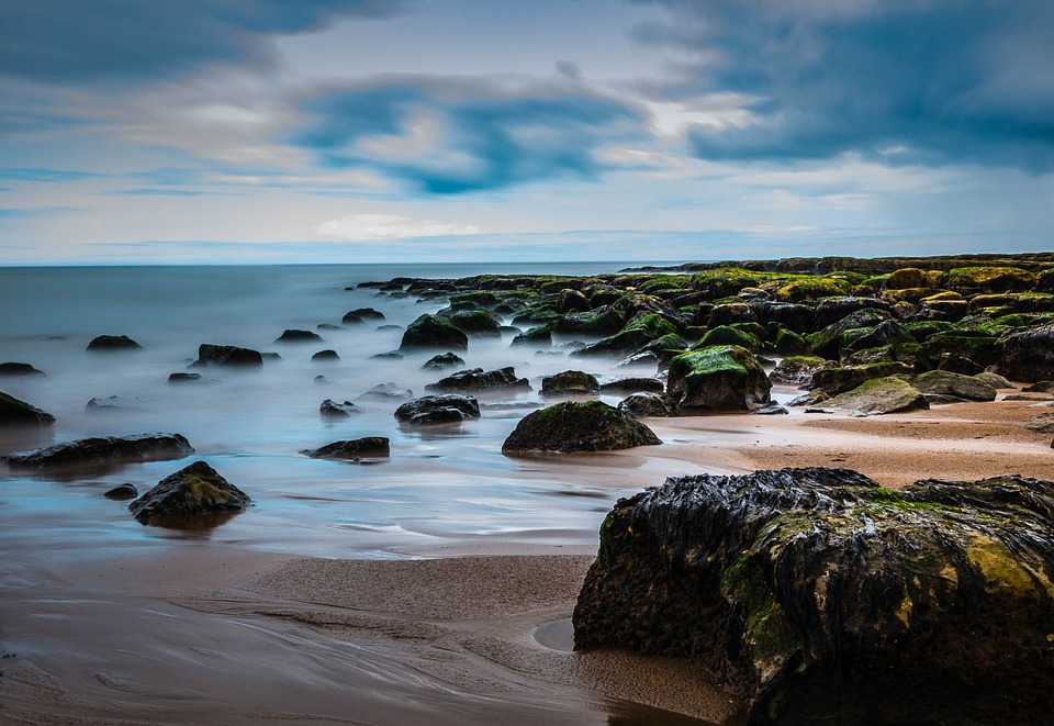 Explore Coastal Berwick