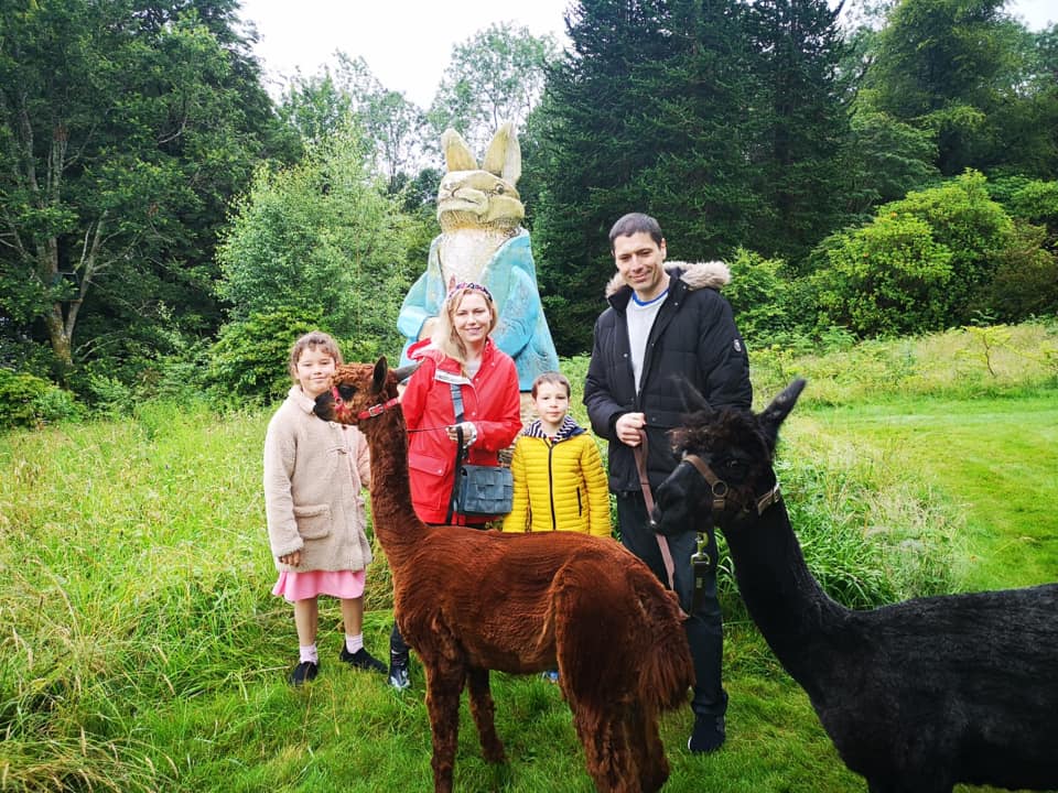 Alpaca Walking with Alpacaly Ever After