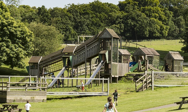 Godstone Farm outdoor adventure park area