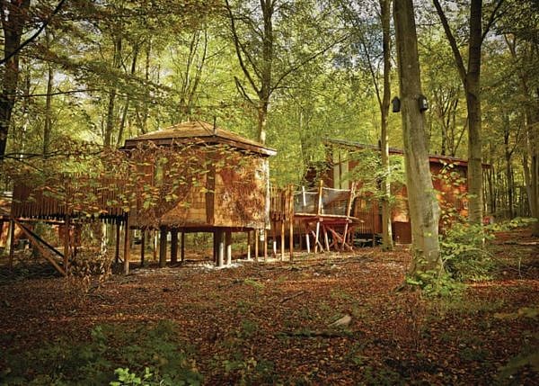 Golden Oak Treehouse with a forest vibe