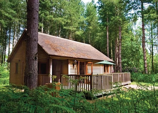 Griffon Forest Lodge