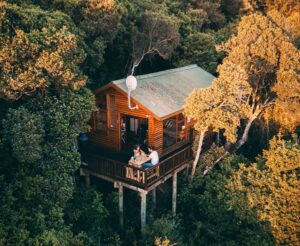 Couple having a meal and talking in the treehouse