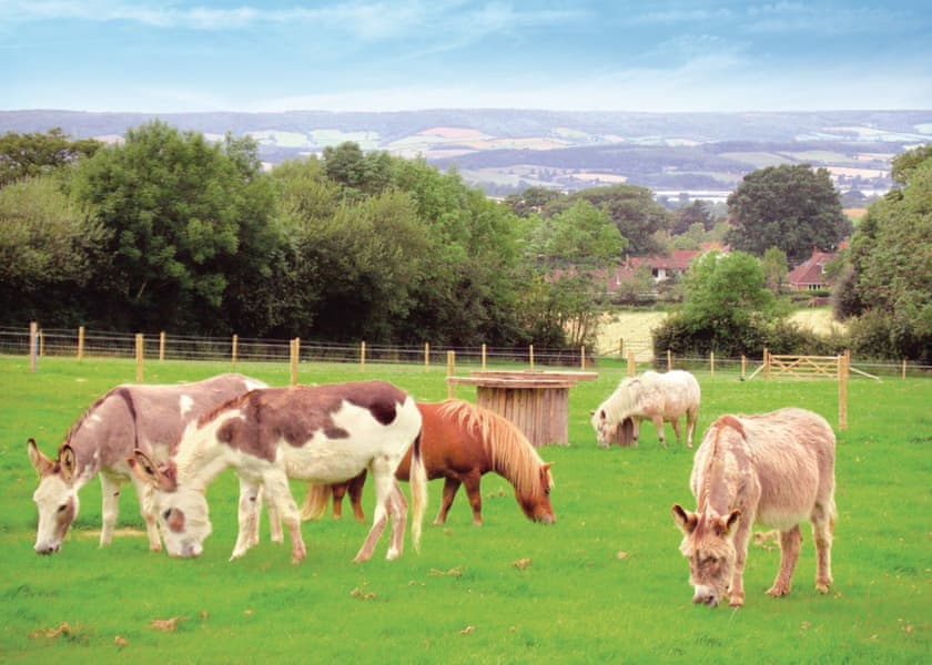 Idyllic Location at Webbers Country Park