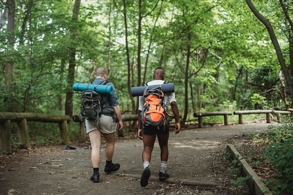 Couple walking the trail with trees everywhere