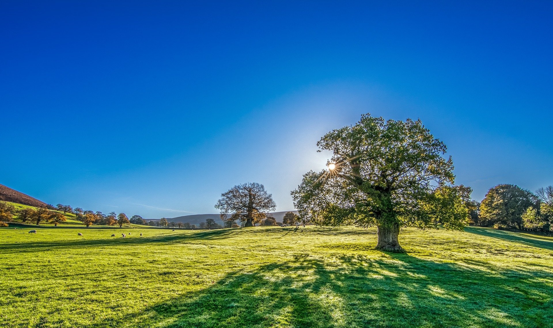 Stunning Yorkshire