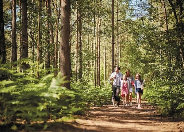 Family walking at oakdene forest