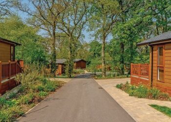Wareham Forest Lodge Retreat