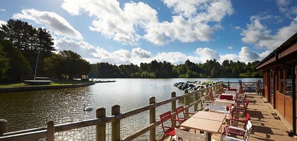 dining area with a beautiful lake view and trees