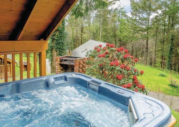 Bulworthy Forest Lodges with Hot Tub