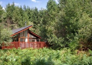 Lodges near Chester Zoo - Delamere Forest Lodges