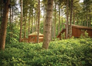Sherwood Forest Lodges with Hot Tubs