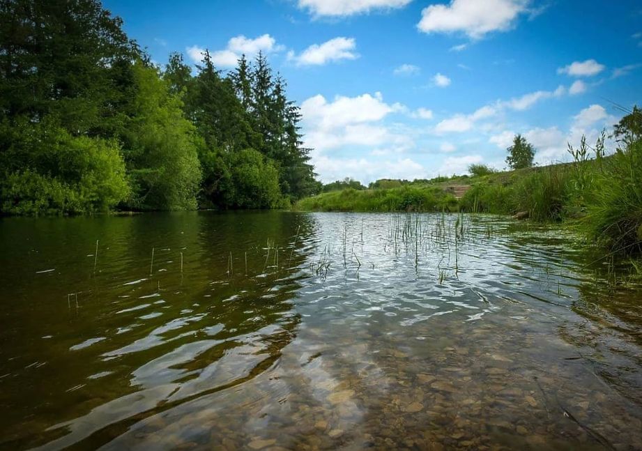 Fishing without having to drive anywhere