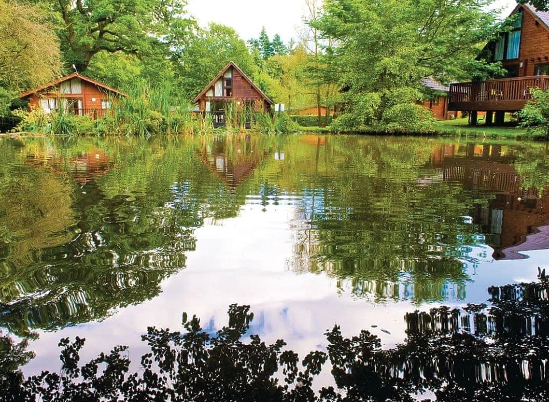 Whitemead Forest Park, Gloucestershire has a fab lakeside setting and lots to see and do