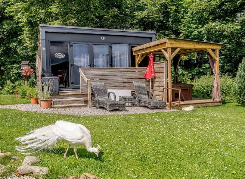 Swallow Micro Lodge