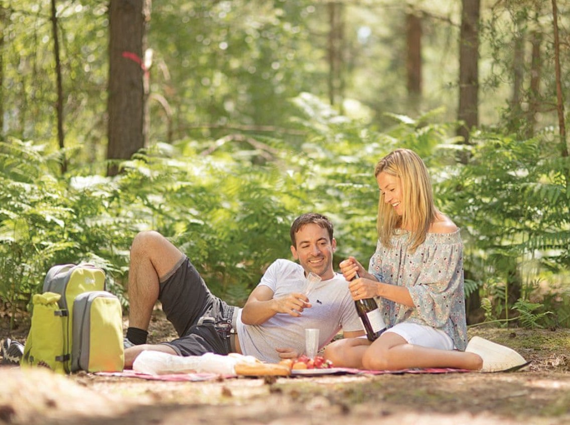 Oakdene Forest