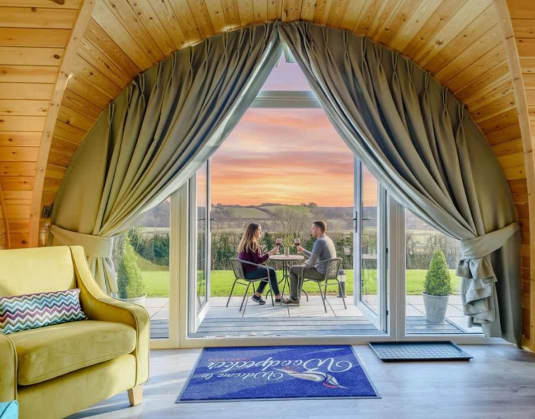 Woodpecker At Manor View