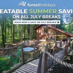 Last-Minute Forest Holidays: Unmissable Savings on July Breaks