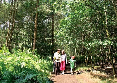 half term lodge holidays 2025
