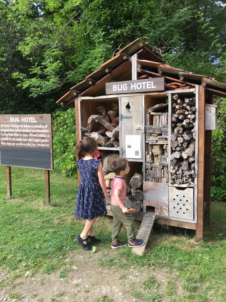 bug hotel at keldy forest