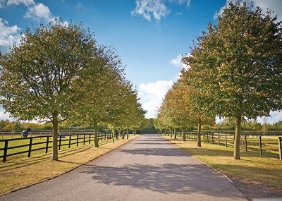 lodges with hot tubs cambridgeshire