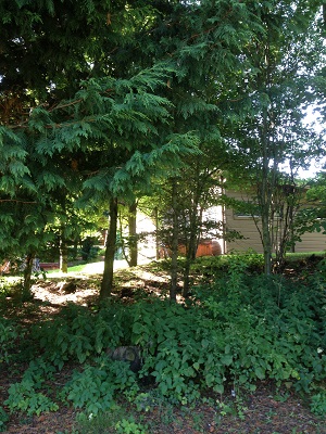 westholme lodges 